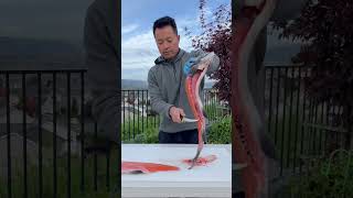 Rate Our Fillet Skills