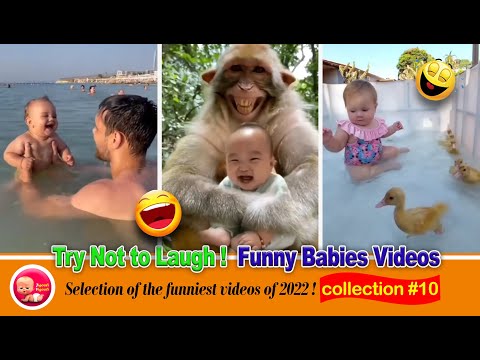 Try Not to Laugh ! funny babies videos ► collection #10 || JigooliVigooli