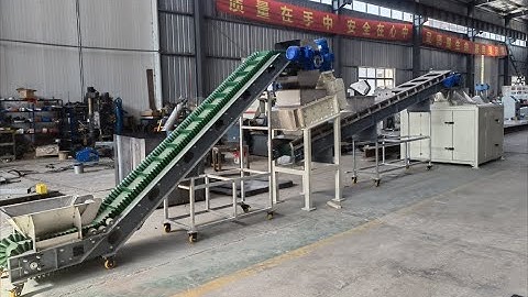 Automated Sample Preparation System including belt conveyor, crusher and rotary divider