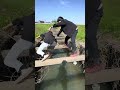 次いけるじゃないんよ