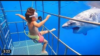 TRY NOT TO LAUGH CHALLENGE  1  Baby Shark Doo Doo720P HD