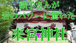 パワーが強い4社分の御利益を授かれる！御神木の大楠のエッセンスも浴びれる！《來宮神社》