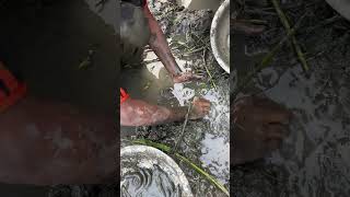 IMG 4816