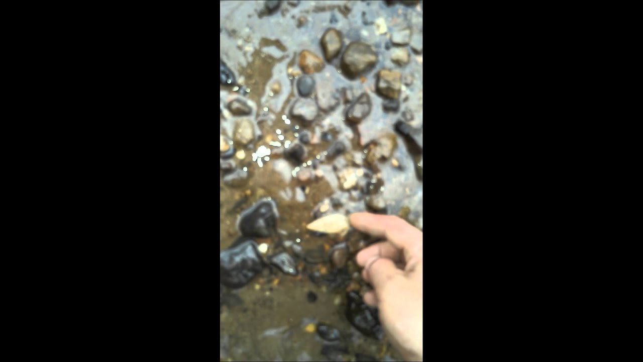 Arrowhead hunting Illinois creeks again.. YouTube