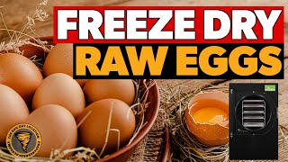 Freeze Drying RAW Eggs & Taste Test | Harvest Right