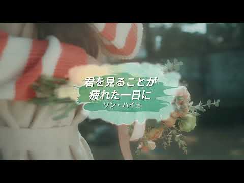 [日本語字幕 / カナルビ] 송하예 - 너를 보는 게 지친 하루에 / ソン・ハイェ - 君を見ることが疲れた一日に