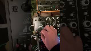 Behringer Cat Synth First Play + Korg SQ64- Melatron