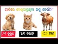 Odia Gk Knowledge || Quiz Competition || General Knowledge || #gk #quiz #gkvideo