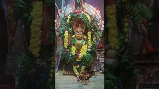 🌺 జై యెల్లమ్మ తల్లి#bhakti #devotional #song #spiritual #bhaktisong #telugusongs #shortsvideo