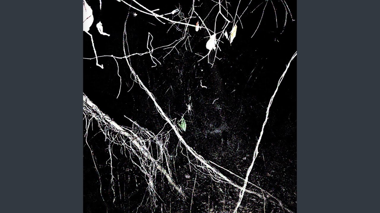 Watch drowning on YouTube Watch drowning on YouTube