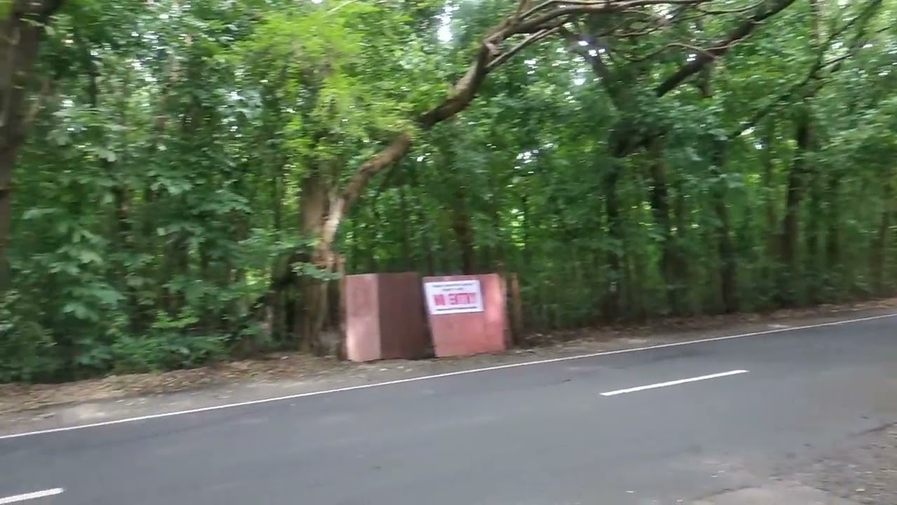 Almeida Man Made Forest - Pitpitac Road, Luna, La Union, Philippines