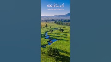 #سورة_الروم#القارئ_ماهر_المعیقلي
