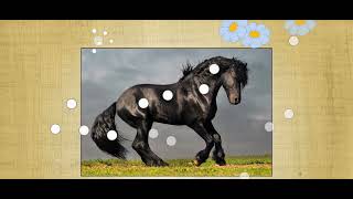 Horse jigsaw puzzles game for kids - app gameplay video! screenshot 3
