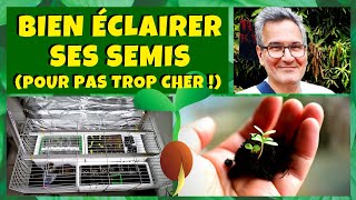 Bien éclairer ses semis (pour pas trop cher) ! ☀️🌱💡