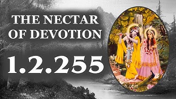 Nectar of Devotion  1.2.255 | NOD Training | The Bhaktivedanta Academy