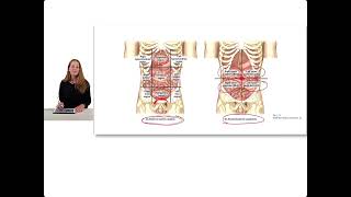 Introduction to Clinical Anatomy