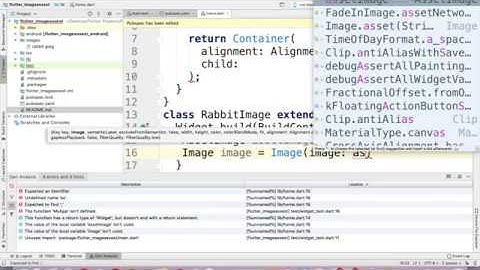 How to add Image Widget in Flutter - Android and iOS Hybrid Application Development Tutorial