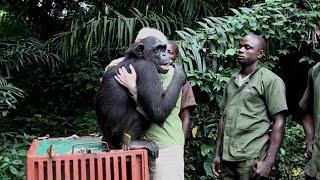 Wild Animals Showing Love to Human #2 Wild Animals Showing Love to Human #2