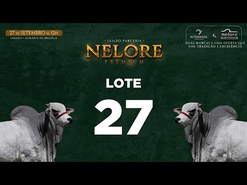LOTE 27   MNS 13284