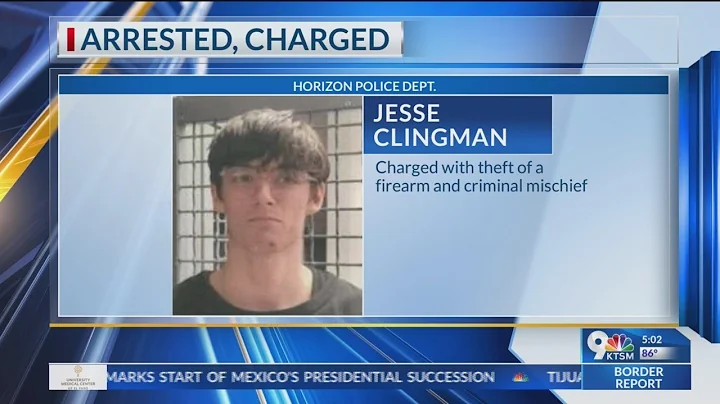 Man arrested for theft of a firearm