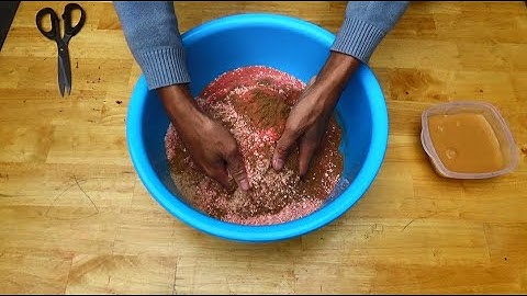 Rô Phi Ăn Như Điên Khi Thấy Mồi Này | Mồi Câu Cá Rô Phi Tự Nhiên