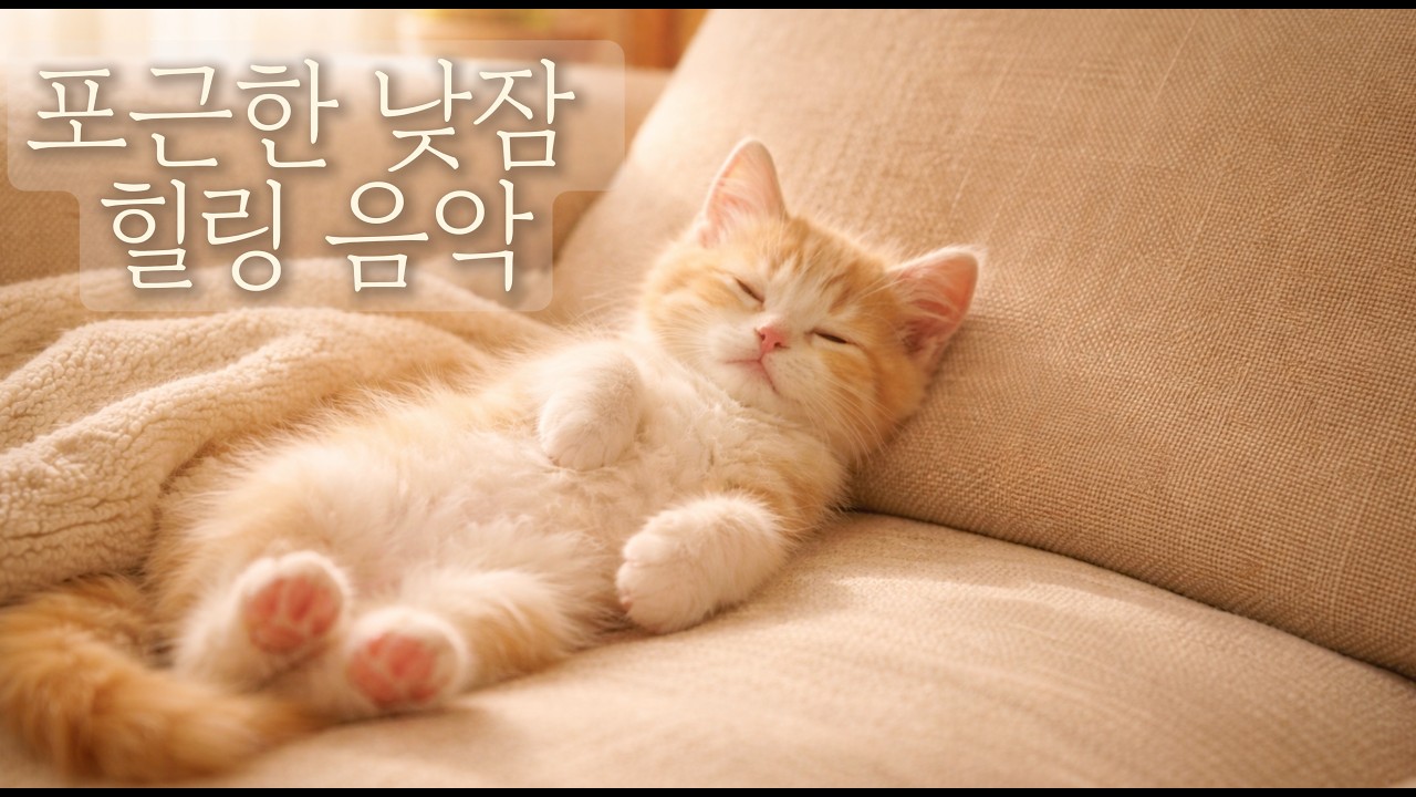 Уютная Музыка для Дневного Сна с Спящей Кошкой 🐾 3 Часа Хилинг BGM