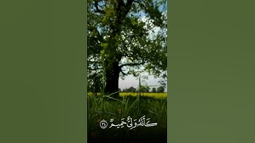 القارئ أحمد حمادي-سوره فصلت آية34