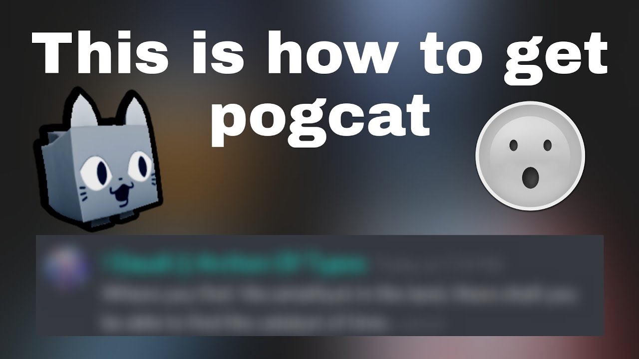 Pogcat This is how to get PogCat!!! Pet Simulator X Update Leaks - YouTube