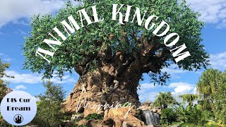 🔴LIVE: Disney’s Animal Kingdom |9/14/2025