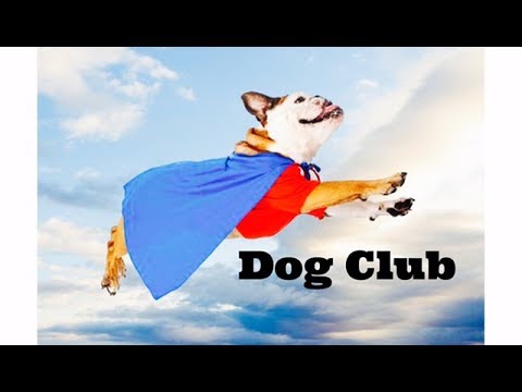 Dog Club - Children's Bedtime Story/Meditation