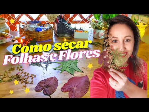 Vídeo: Que Artesanato Fazer Com Folhas E Flores Secas