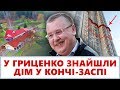 У Гриценко знайшли будинок в Конча-Заспі і чотири квартири в центрі Києва