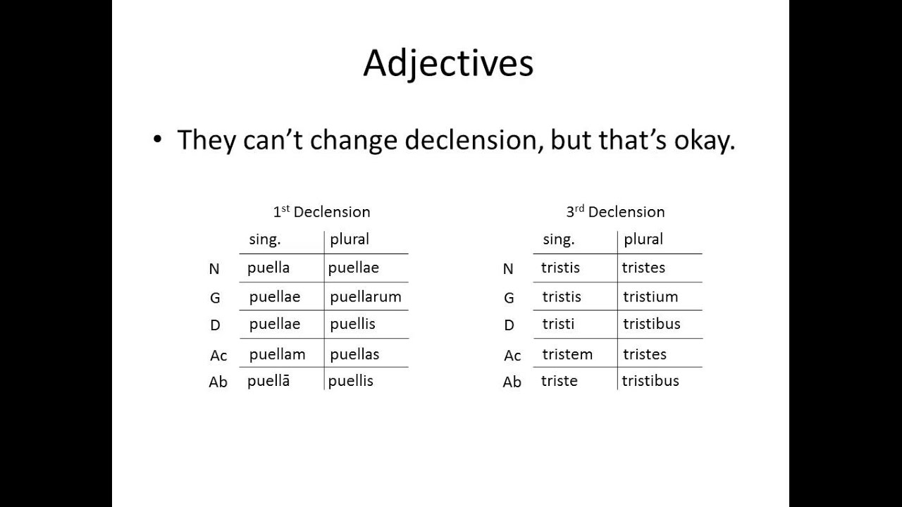 Latin Adjectives Worksheet