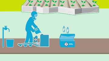 Plant Protection Products: Selection and Application