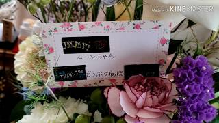 【キンクマハムスター】ムーンがお世話になってきた病院の先生からお供え花が届きました。