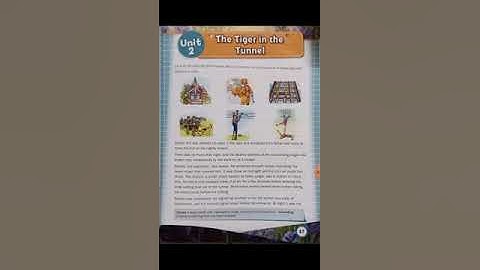 The tiger in the tunnel part 1