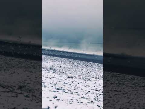 تساقط الثلوج علي البحر الاسود في باتومي جورجيا Georgia Batumigeorgia جورجيا Snow الثلوج ثلج