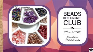 Beads of the Month Clubs - Two Hole, Hot &amp; Trendy - March 2023