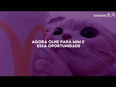 Annie - Opportunity [tradução/legendado] "now look at me and this ...
