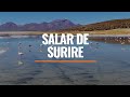 El Salar de Surire, la joya secreta del altiplano chileno | Ruta 5