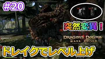 ドラゴンズドグマ リム 稼ぎ