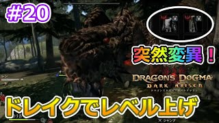 ドラゴンズドグマda ゾンビ覚者 純魔型への道 ドレイクに挑む Dragon S Dogma Dark Arisen ハードモード 字幕プレイ動画 Youtube