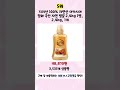 💛2025년 가성비 벌꿀 추천 TOP5💛