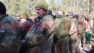 Спецоперация НА Украине – смотреть видео онлайн в Моем Мире   Диана Киселёва   поиск Яндекса по виде