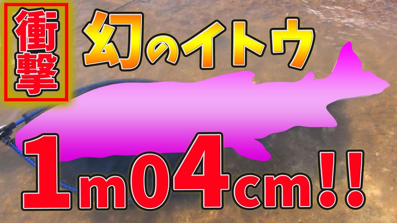 【衝撃映像】これが！夢のメーターオーバーイトウ！北海道朱鞠内湖～第3幕～