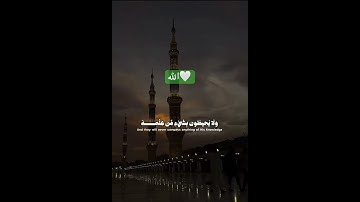 #shortvideo #اكسبلور #quran #duet #viral #لايك #allah #الله #سورة #ترند