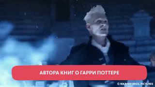 "ФАНТАСТИЧЕСКИЕ ТВАРИ 3" "ФАНТАСТИЧЕСКИЕ ТВАРИ 3"