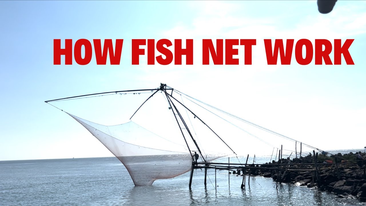 How Fishing Net Work? Kochi Kerala Beach Fish Nets 