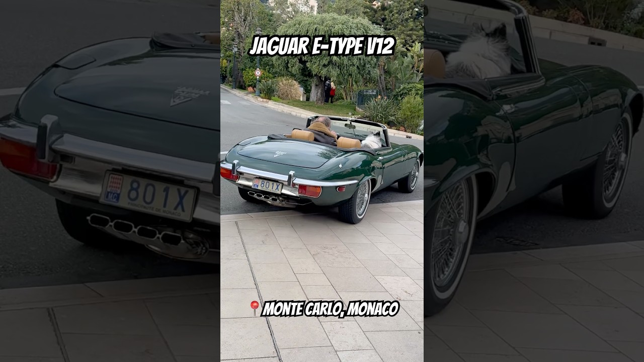 Unleash timeless elegance with the Jaguar E-Type V12 – where power meets iconic style. 