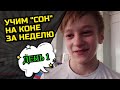 Учим "СОН" на коне за неделю | День 1